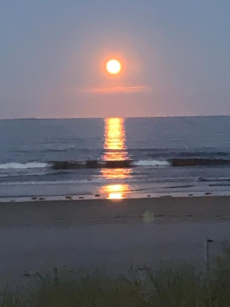 Patras Grand Beach Motel image