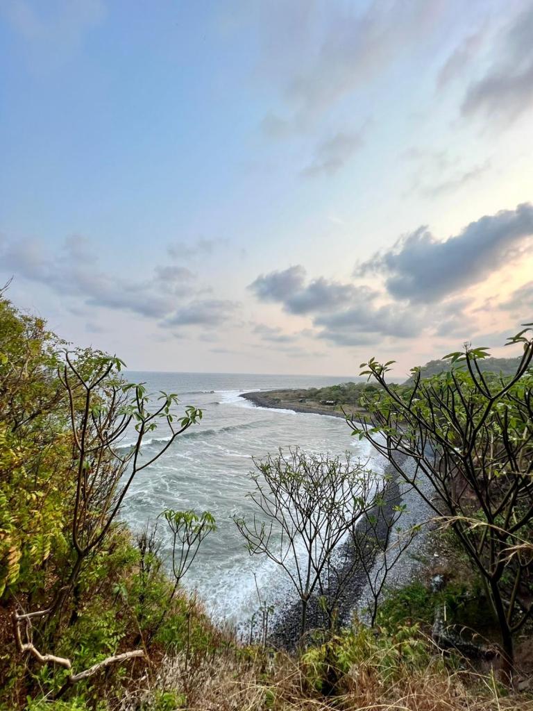 Pelicano Surf Camp 2 photo 4