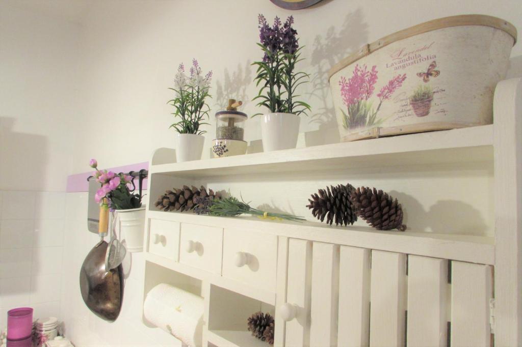 Purple House - Arboriamar Platamona