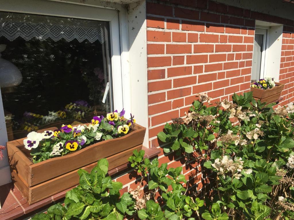 Haus Horizont photo 3