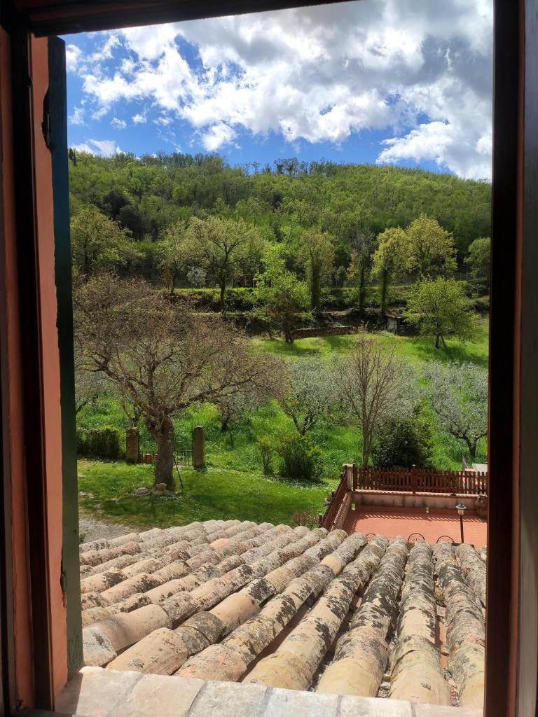 B&B I Martelli photo 4