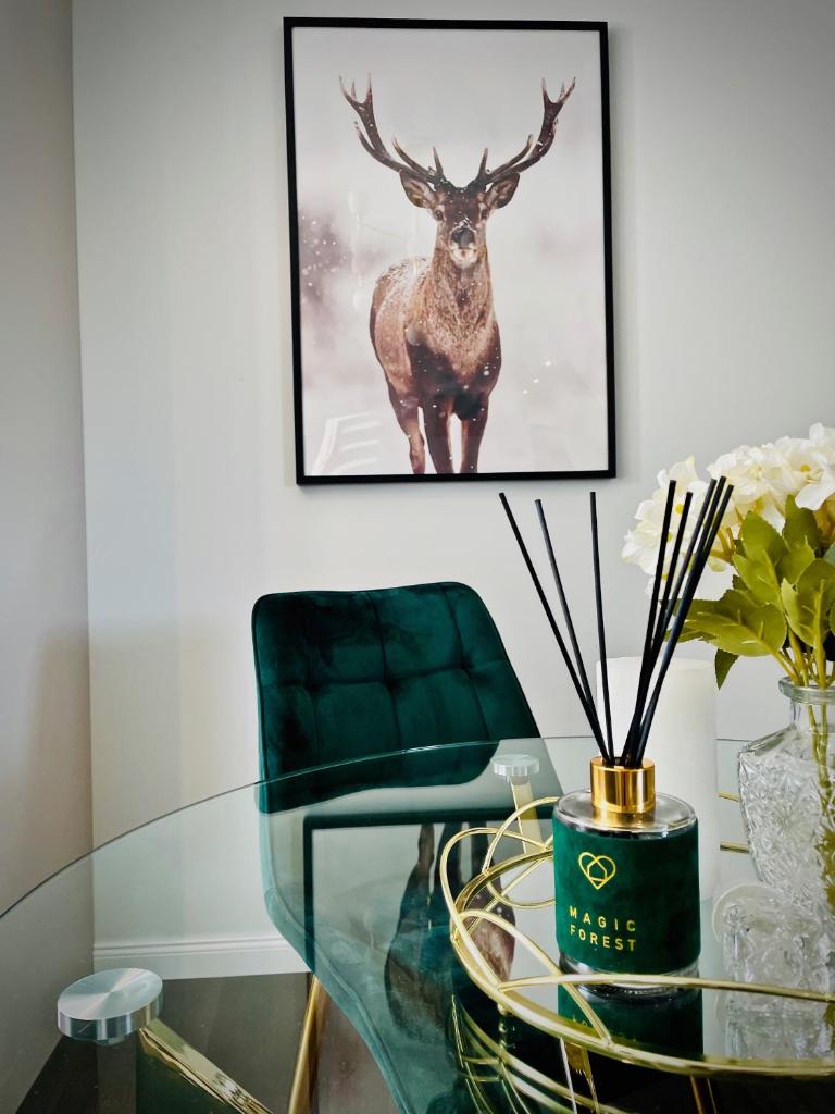 DeerHome Apartment photo 4