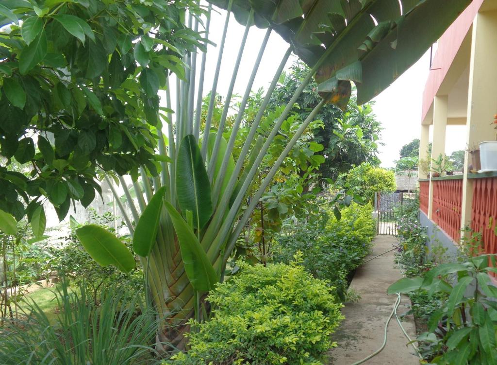 Santos`s House photo 2