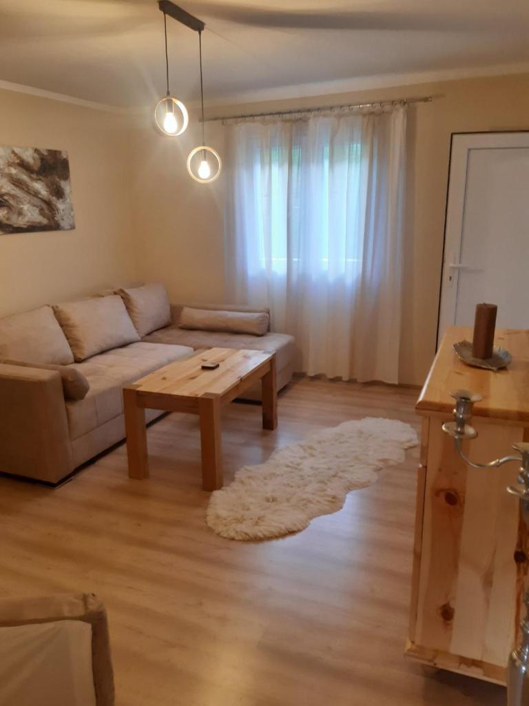 Seoska kuća Rakić - Tara photo 3