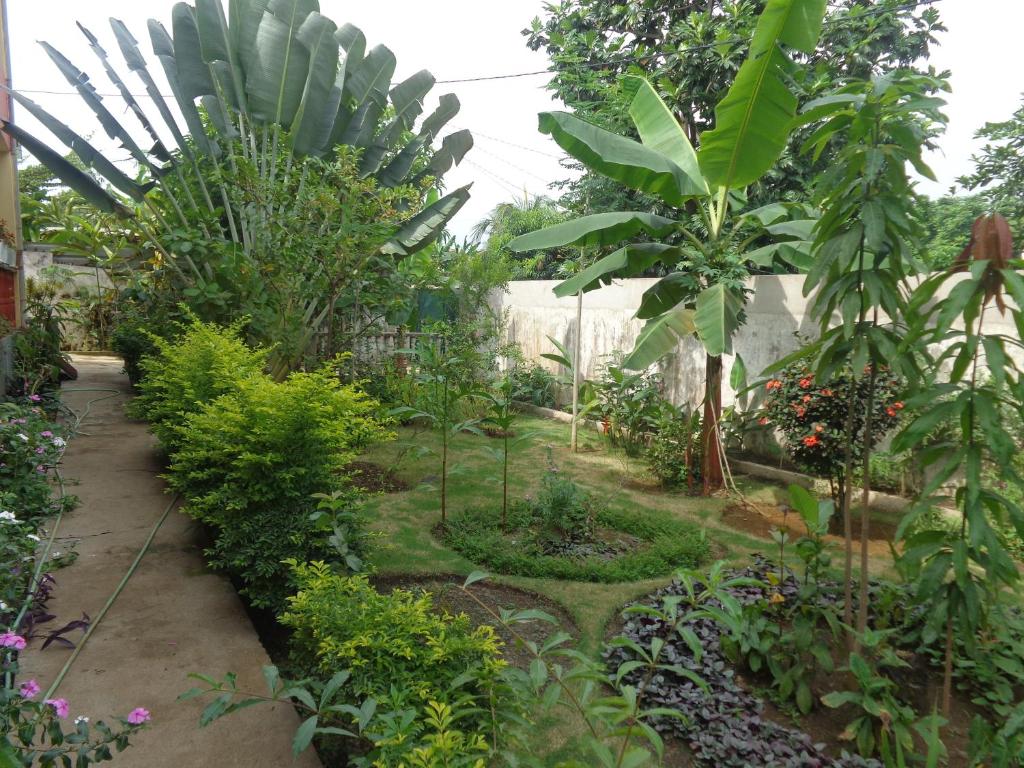Santos`s House photo 3