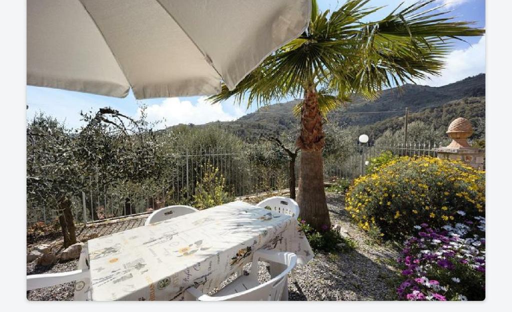 LA TAVERNA tra gli ulivi photo 1