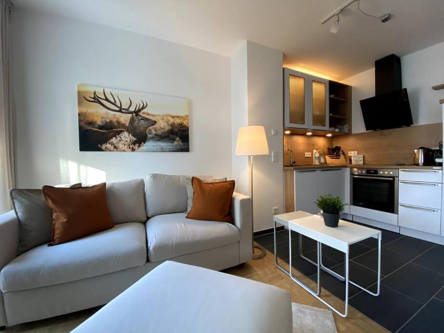 Acapella Suite Adagio 54qm, direkt am Weinberg, Altstadt, Netflix inklusive photo 3