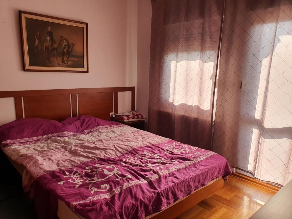 Meriland Kosmaj photo 4