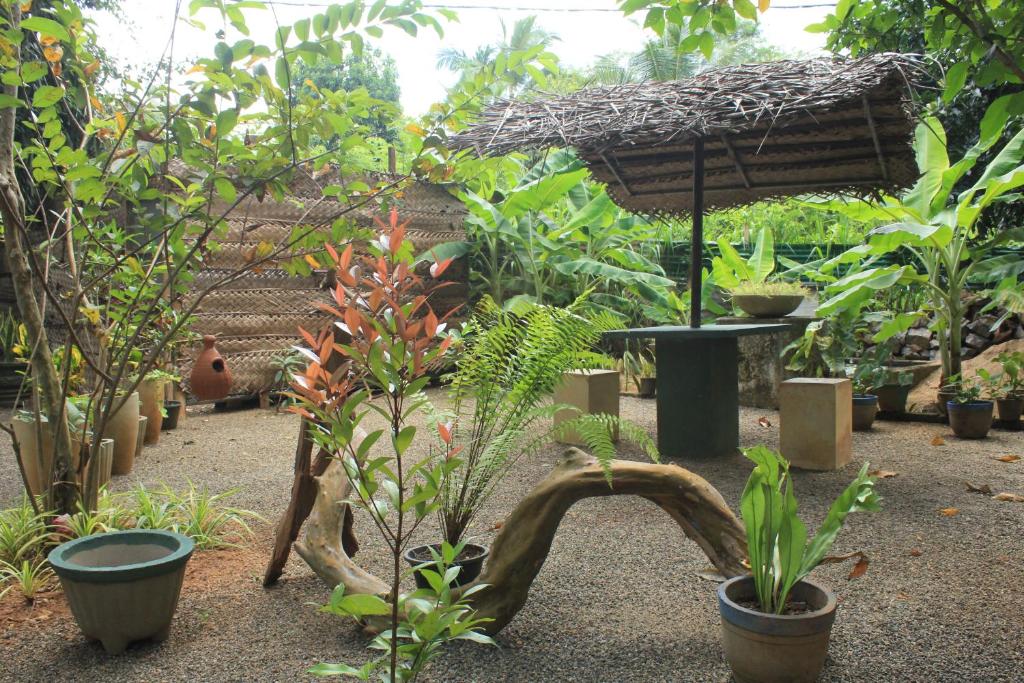 Chandi Relax Hostel photo 3