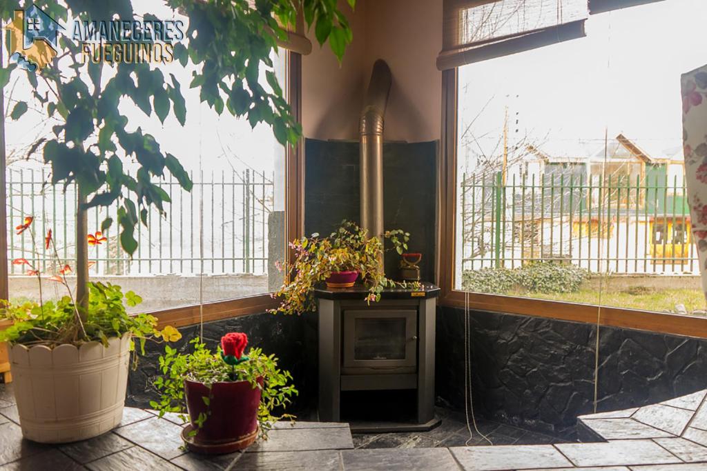 Tu casa en el Fin del Mundo photo 3