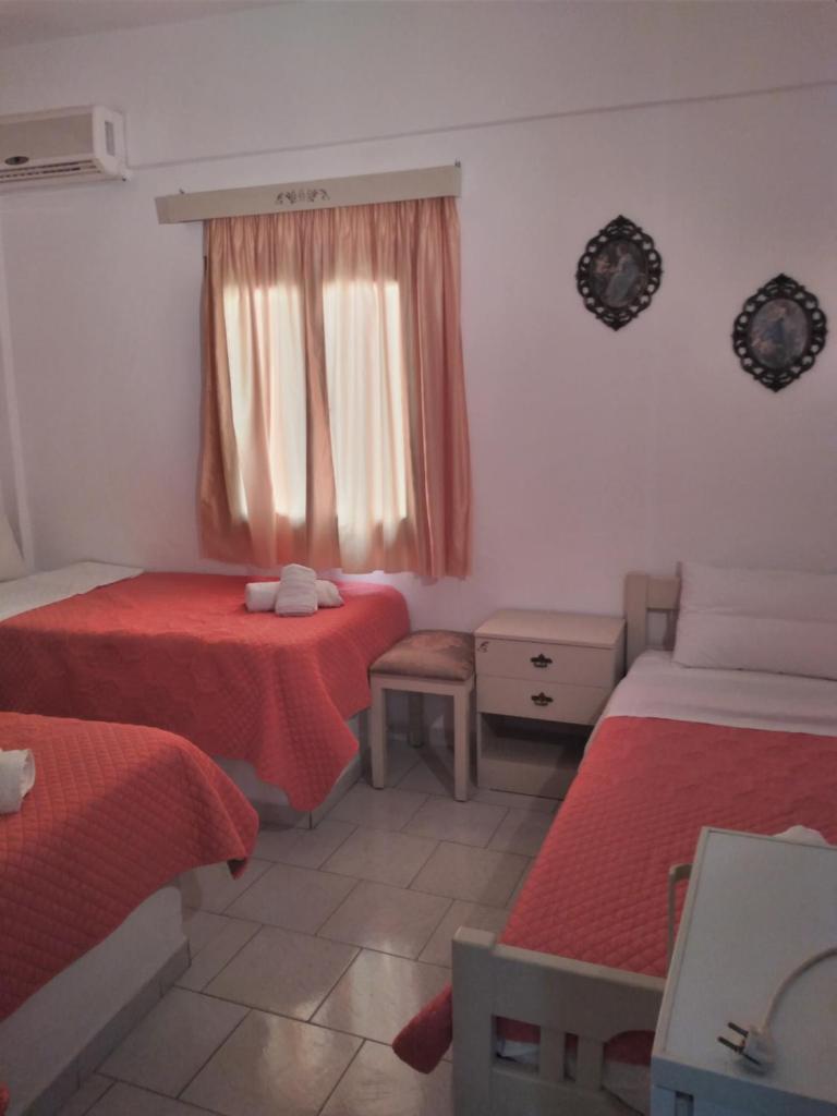 Psiloritis Elena photo 1