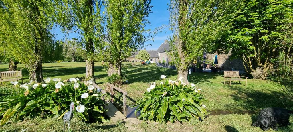 Le Relais de la Comté photo 2