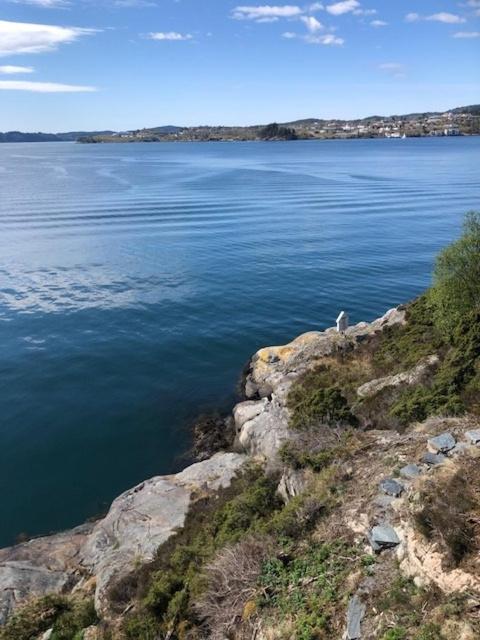 Koselig nyoppusset 3 roms leilighet med egen parkeringsplass i rolige omgivelse nær sjøen, 2 mil nord for Bergen sentrum. photo 3