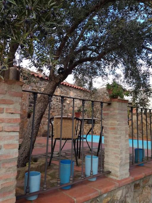 Nidal del Búho Casa Rural photo 1