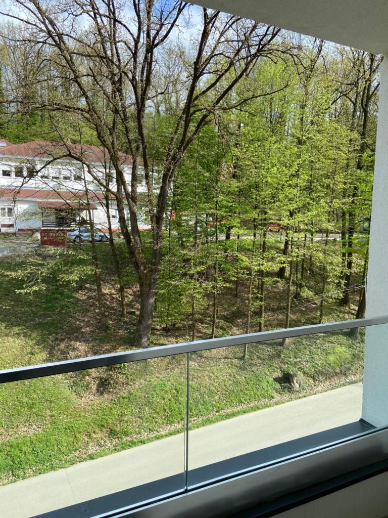 Maya apartman sa dve spavace sobe photo 1