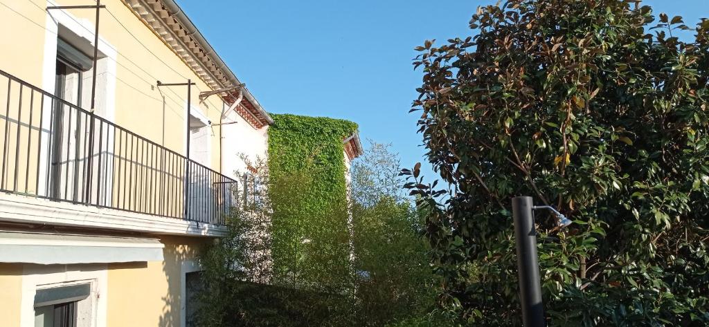 Les chambres du magnolia photo 2