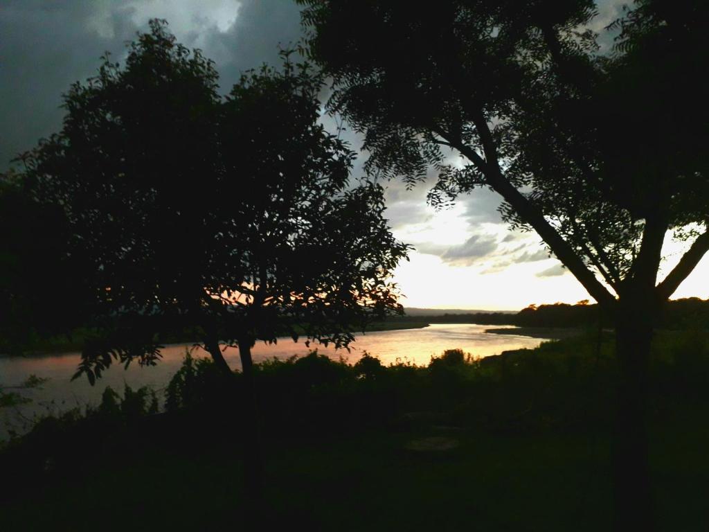 Wild Adventure Resort photo 1
