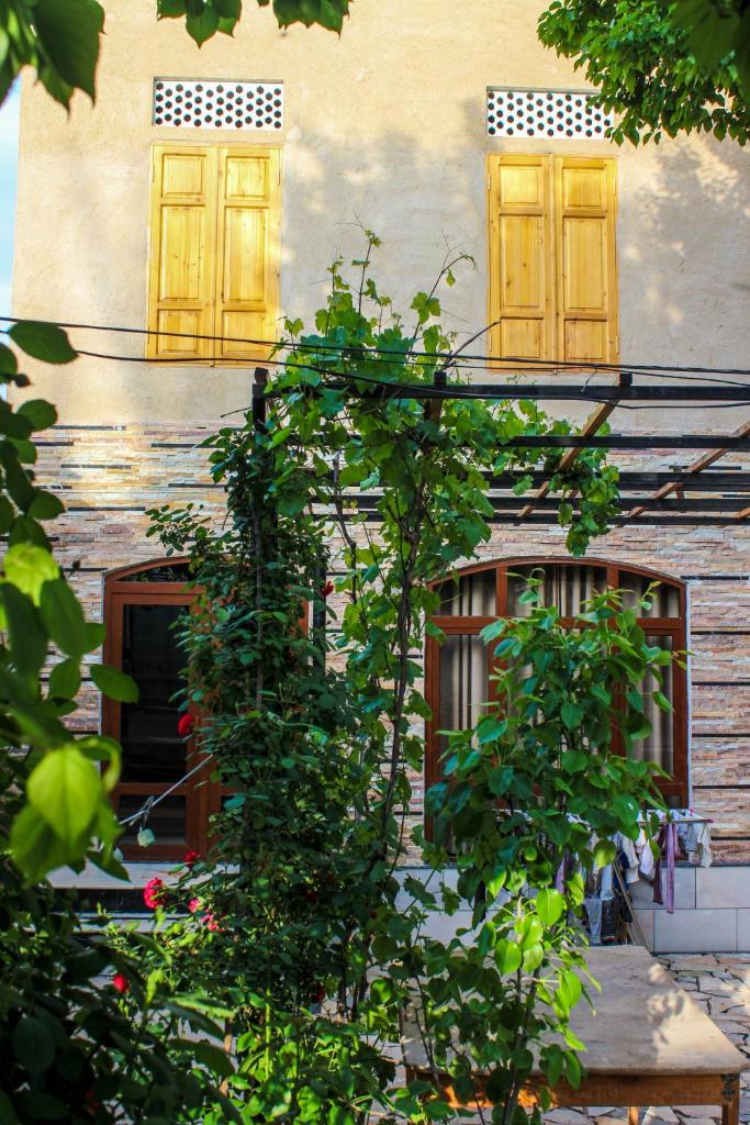 Guest House Ruslan Nurata & Tours photo 4