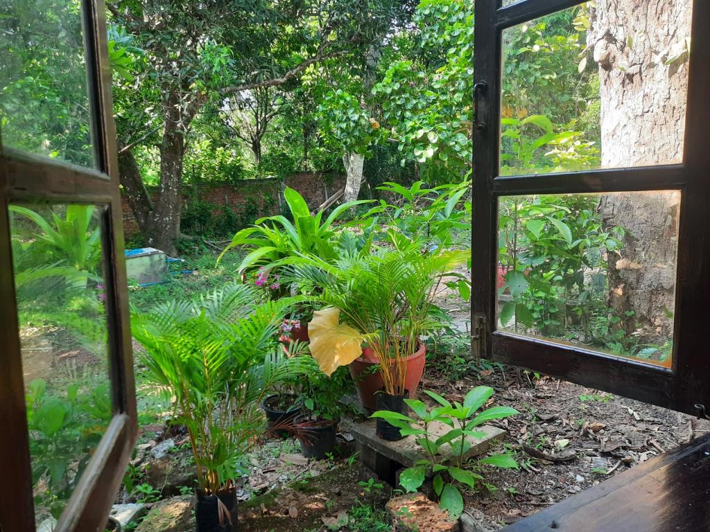 Jungle House Kep photo 2