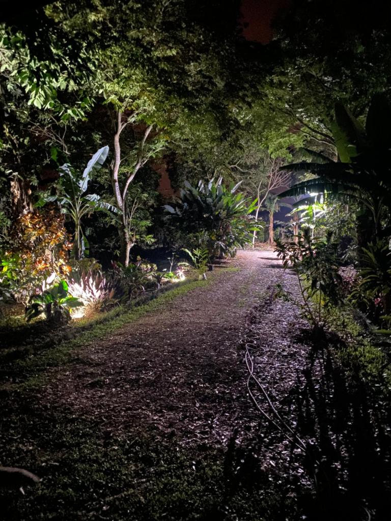 Bongalow Villa Sarchi photo 1