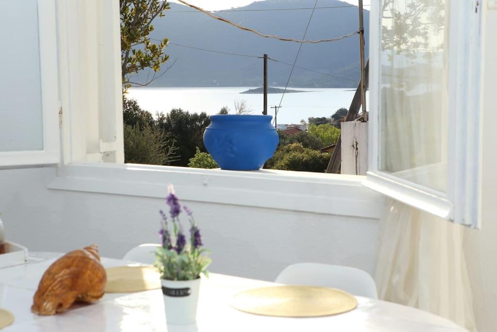 White Villa in Olive trees and Seaview to Panagia photo 2