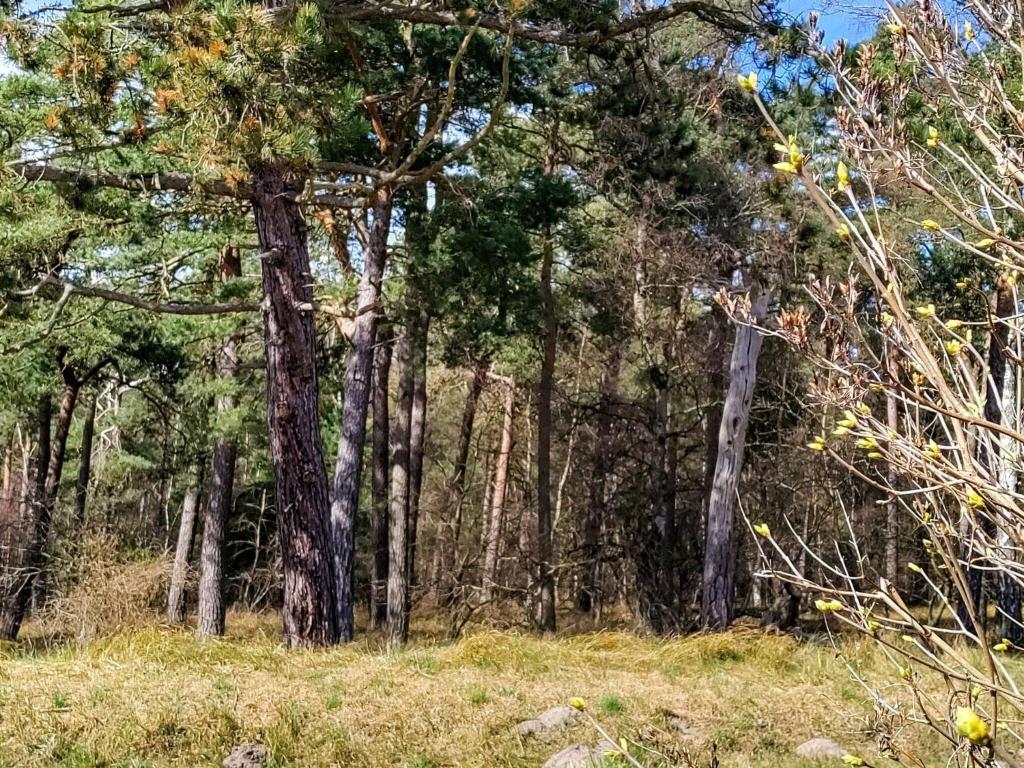 Holiday home Højby XXXII photo 4