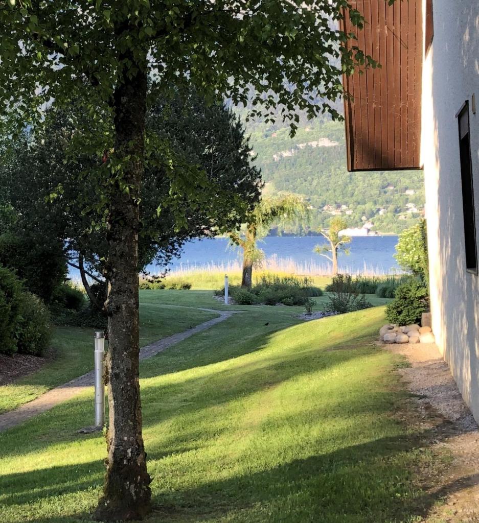 Lac paradisiaque photo 4