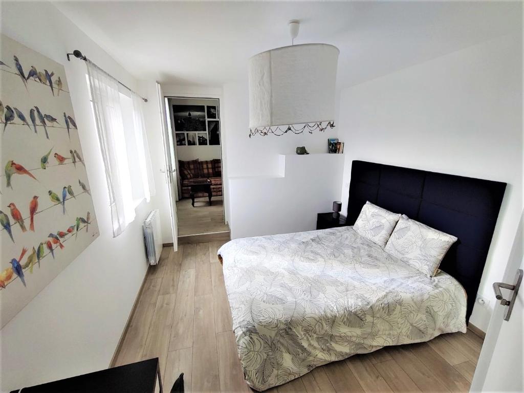 Appartement T2 "Mésange" Hyper centre d'Ernée photo 2