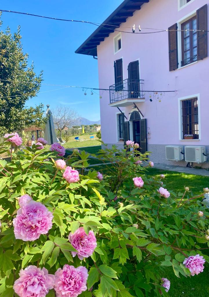 La Casa Di Campagna Sul Garda photo 3
