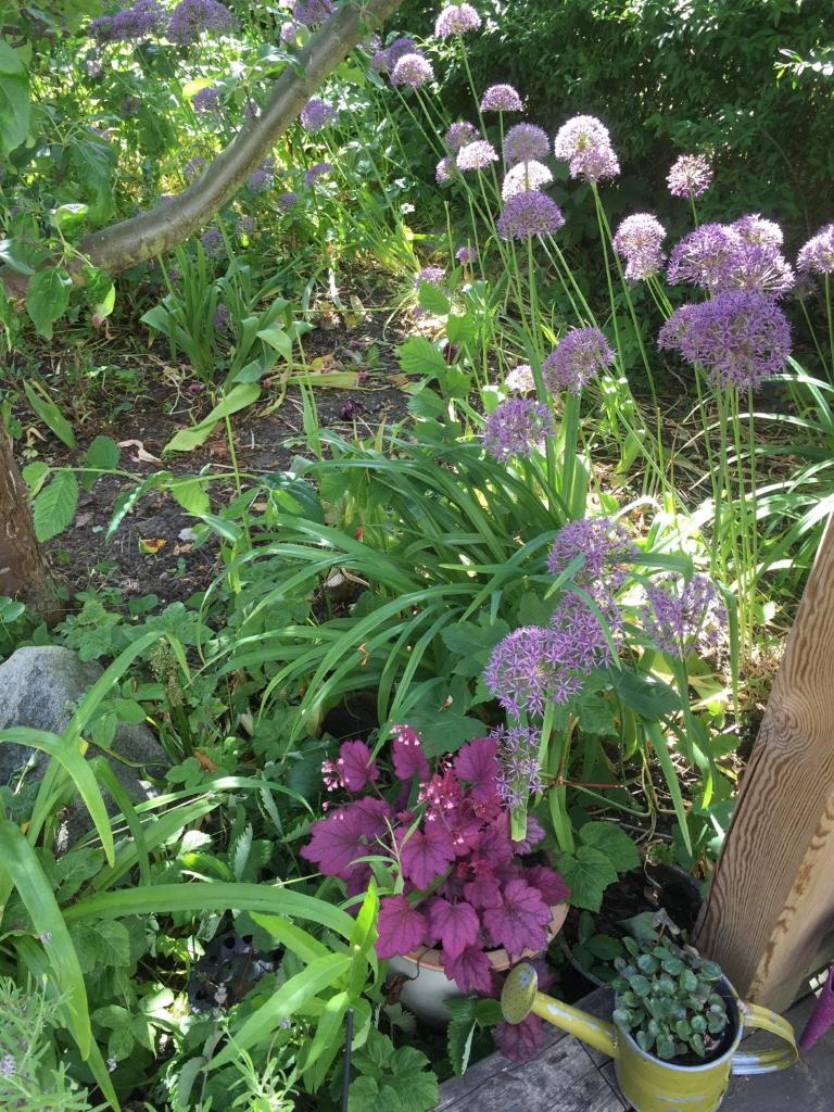 The Garden House photo 3