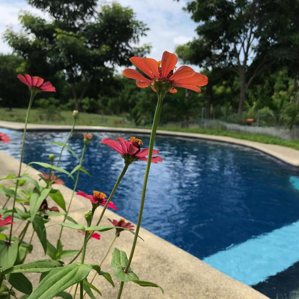 Quinta El Mamey photo 3