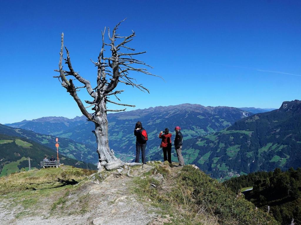 Haus Austria Top 5 photo 4
