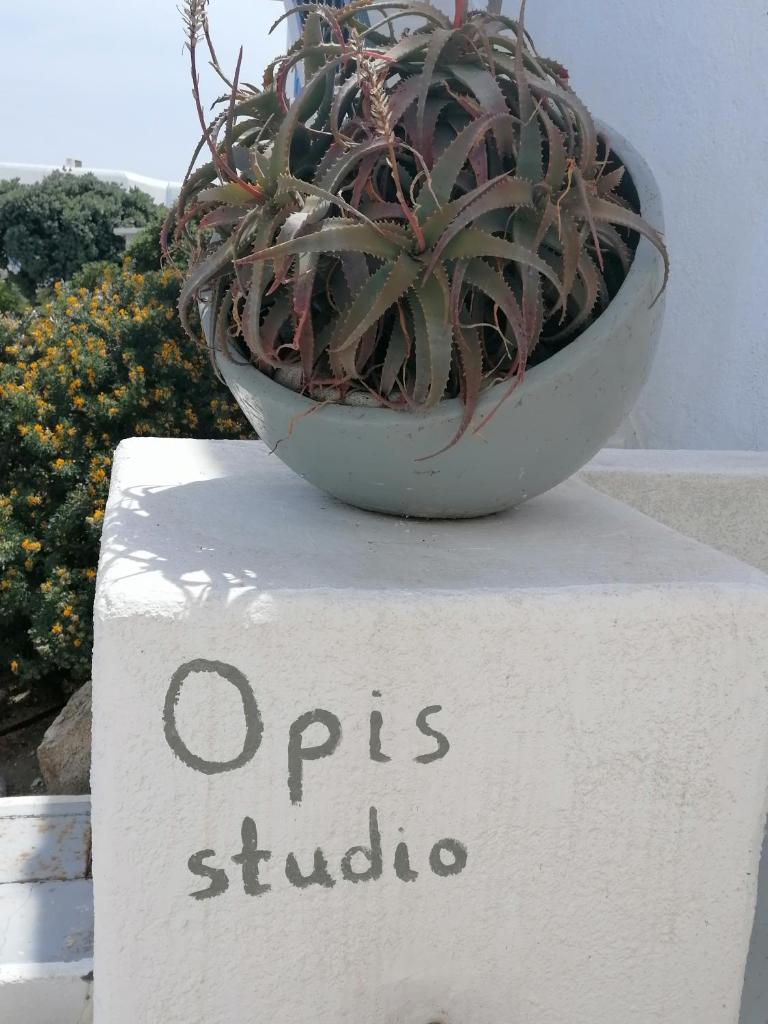 Opis studio photo 1
