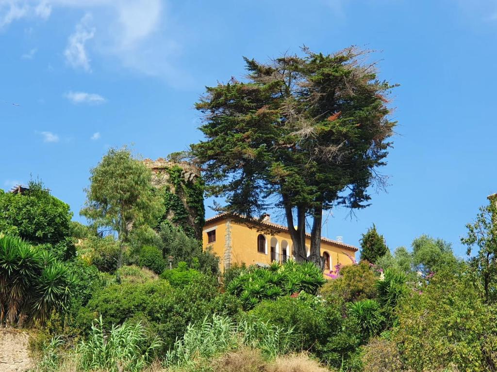 Medieval tower & villa by the sea photo 3