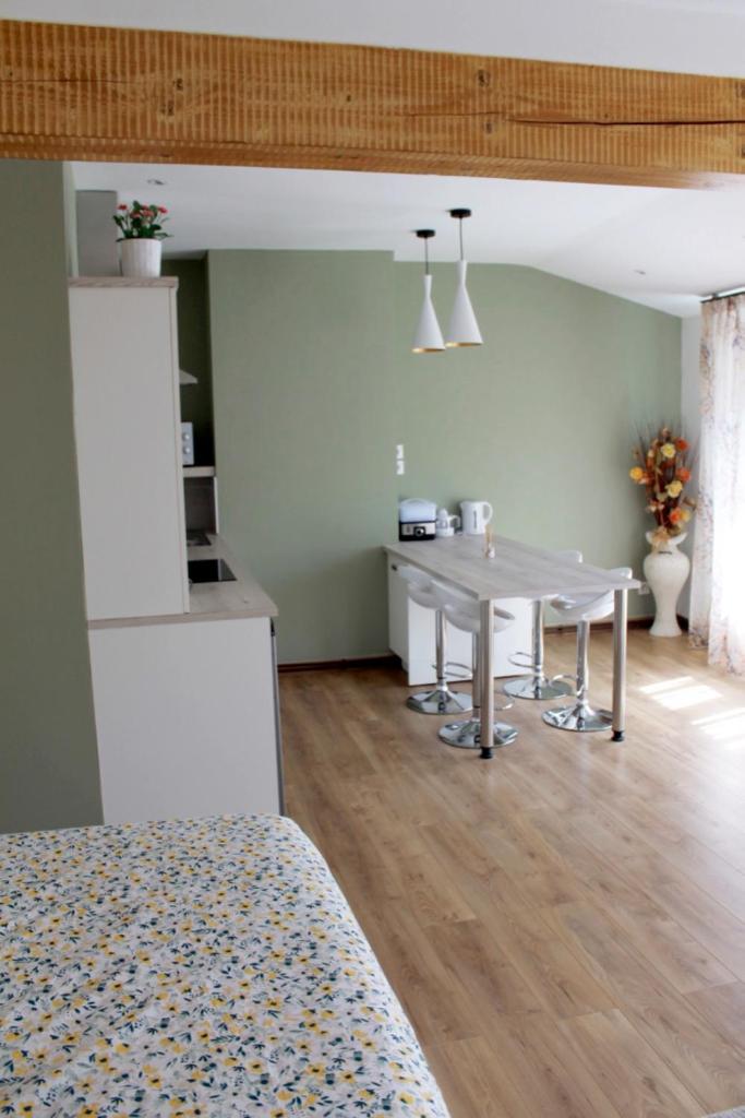 Saint Etienne : appartement Châteaucreux 40 M2 photo 1