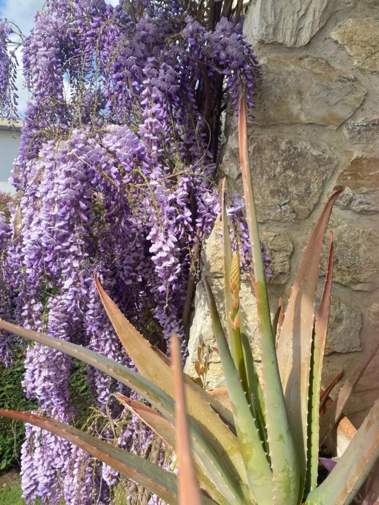 B&B Fior Di Toscana photo 1