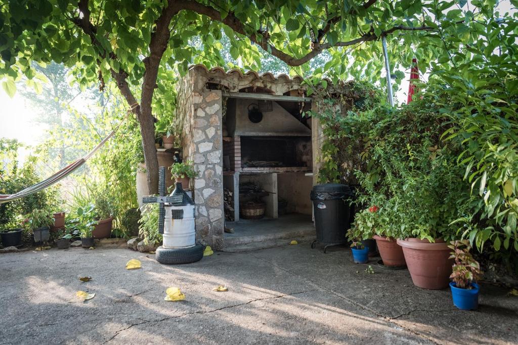 Casa Amparo photo 3