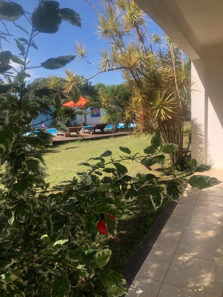 Eco suites Caravelas photo 4