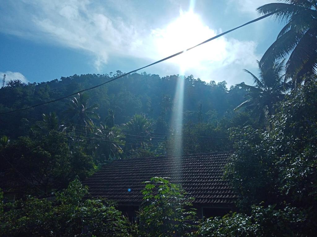 Mountain View photo 2