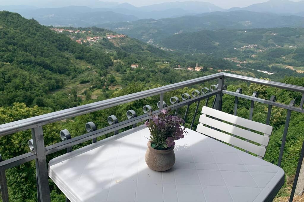 La Terrazza sulle Apuane photo 2