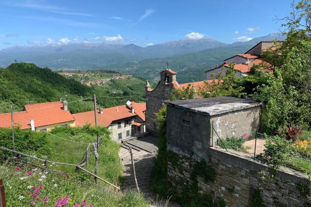 La Terrazza sulle Apuane photo 3