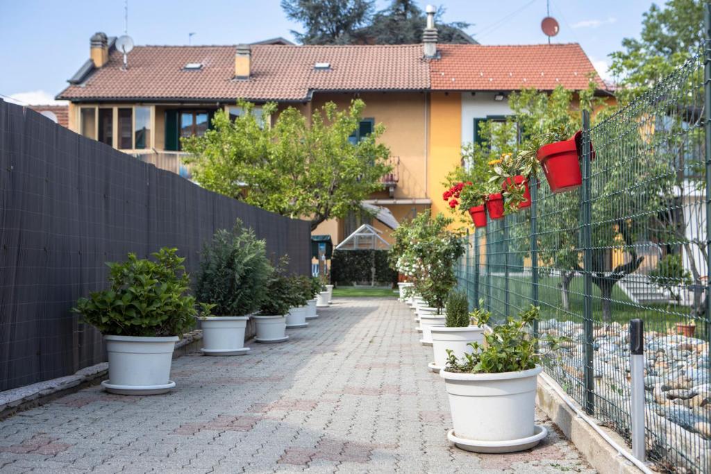 WiBnB Holiday rentals- appartamenti photo 1