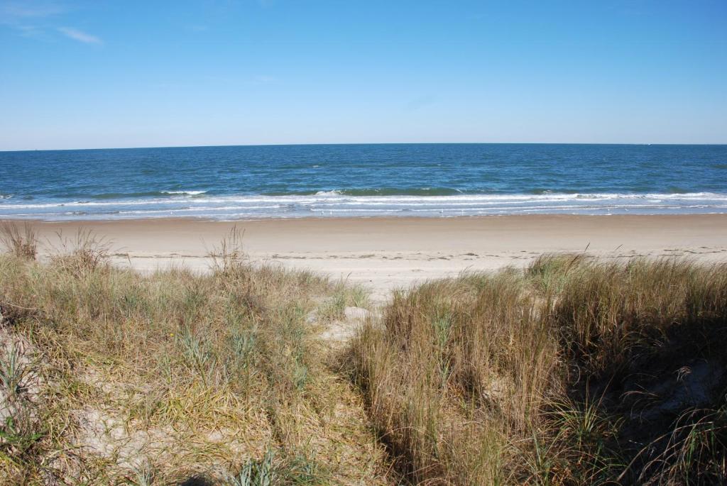 Old Time Beach Front Cottage - The Beach is your Backyard! Pet Friendly cottage photo 2