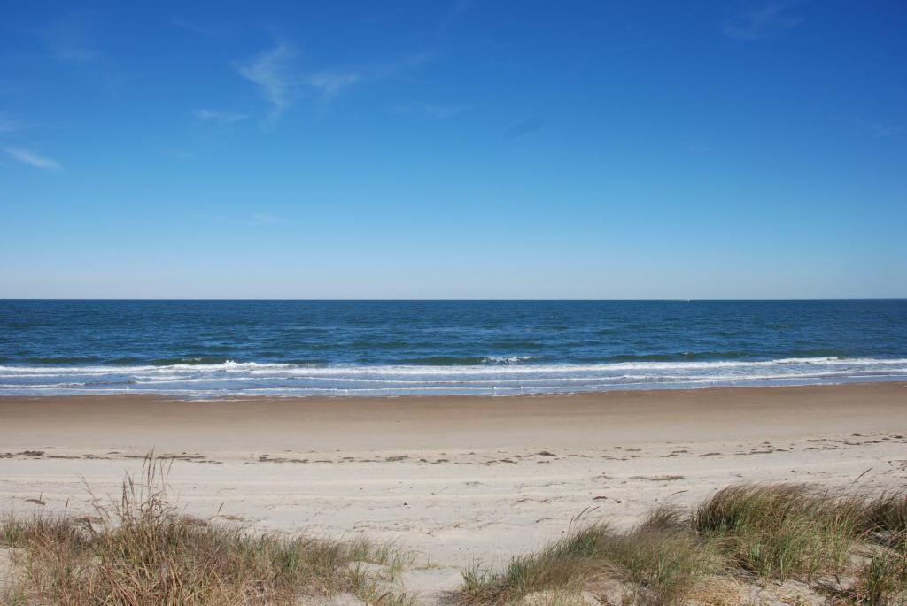 Old Time Beach Front Cottage - The Beach is your Backyard! Pet Friendly cottage photo 1