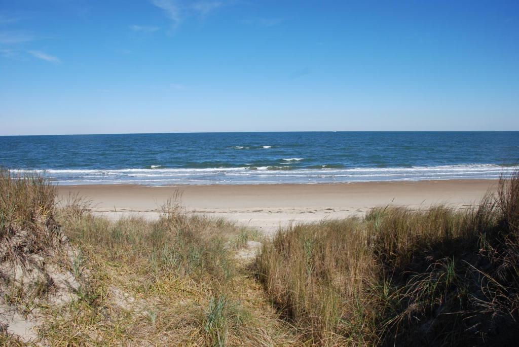Old Time Beach Front Cottage - The Beach is your Backyard! Pet Friendly cottage