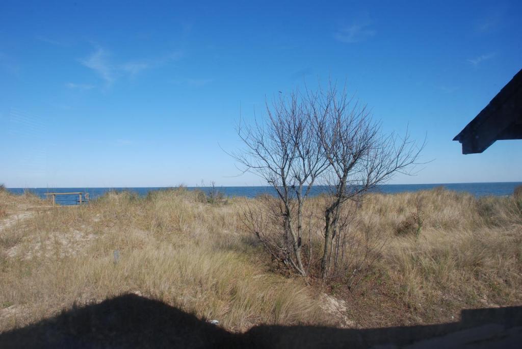Old Time Beach Front Cottage - The Beach is your Backyard! Pet Friendly cottage photo 3