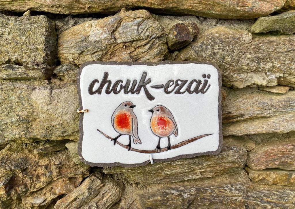 Chouk-Ezaï côte sauvage de l'île photo 4