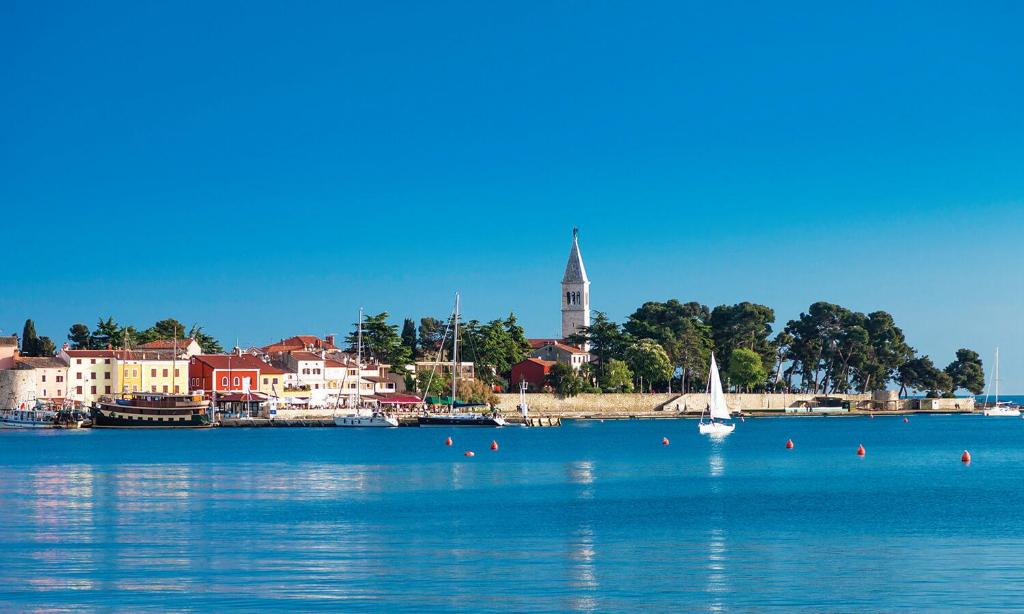 Apt GioAn Novigrad, 500m to Sea, private heated Jacuzzi, BBQ, private parking photo 4