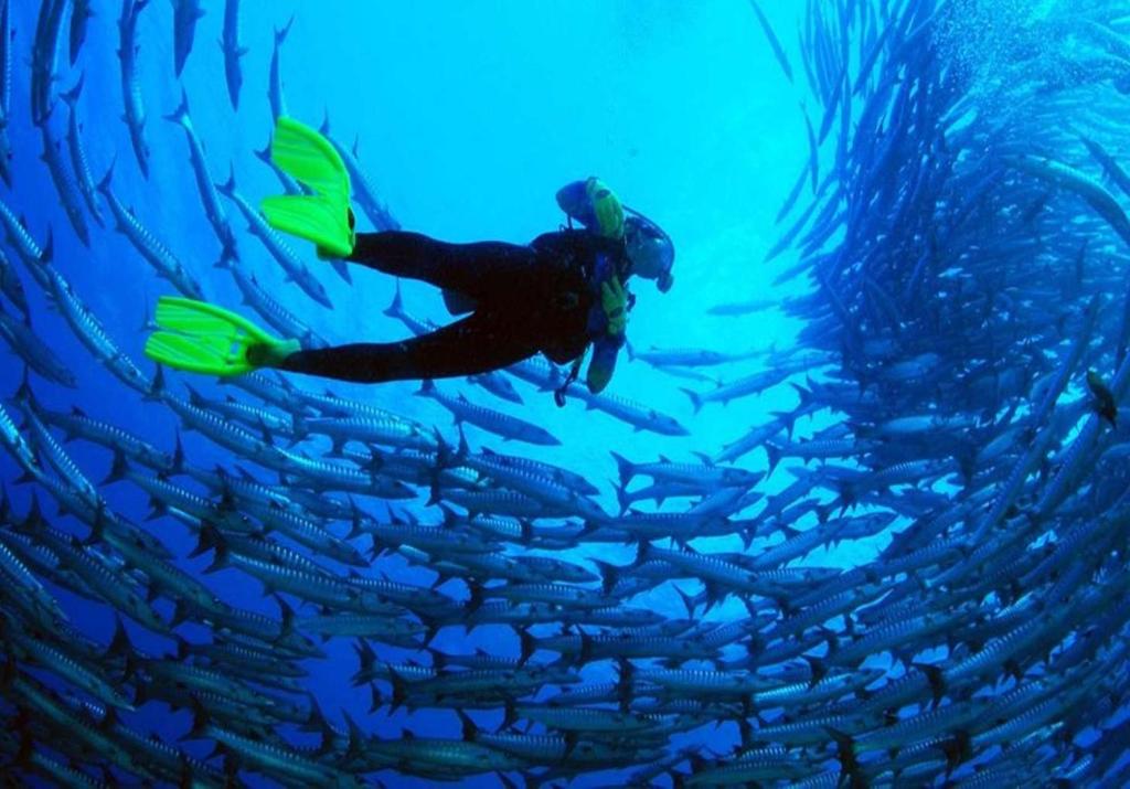 Tortuga Dafni Bay Villas Diver's Paradise photo 3