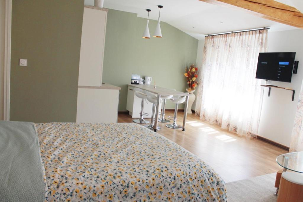 Saint Etienne : appartement Châteaucreux 40 M2 photo 4